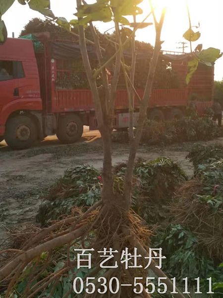 占地澳门官方直营威尼斯首页