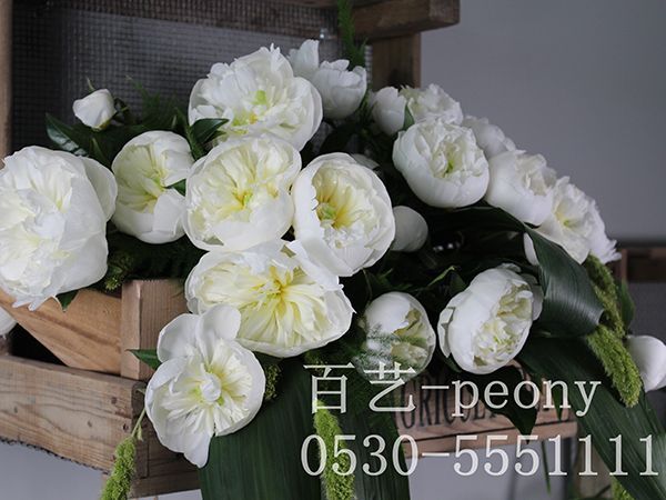 怎么辨别澳门官方直营威尼斯首页和芍药